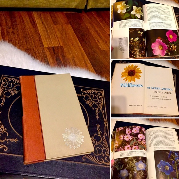 π¦2/$10 3/$15 4/$18 5/$20 Vintage 60s Wildflowers